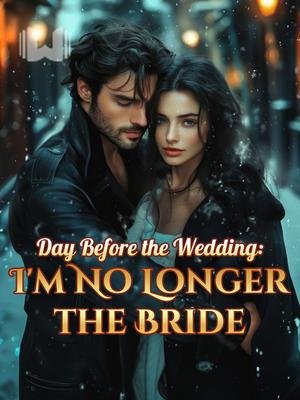 Day Before the Wedding I’m No Longer the Bride